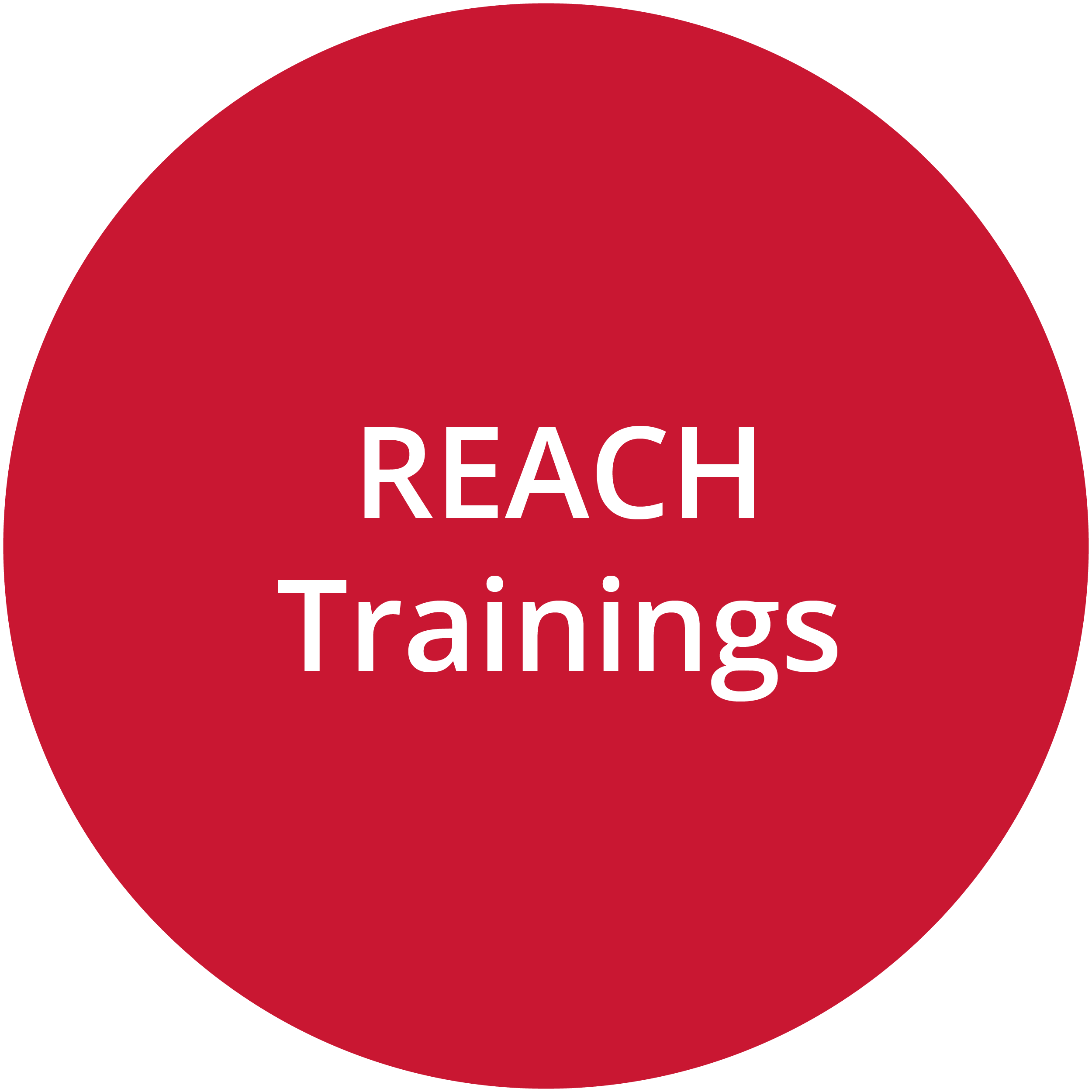 REACH Trainings